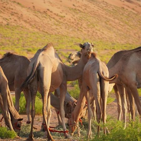 Sandglass Camp Badīyah المظهر الخارجي الصورة