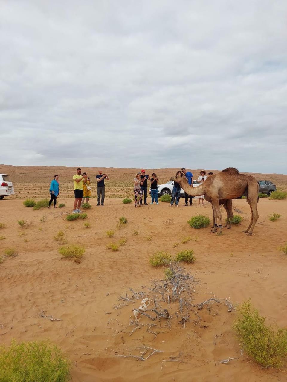 Sandglass Camp Badīyah المظهر الخارجي الصورة