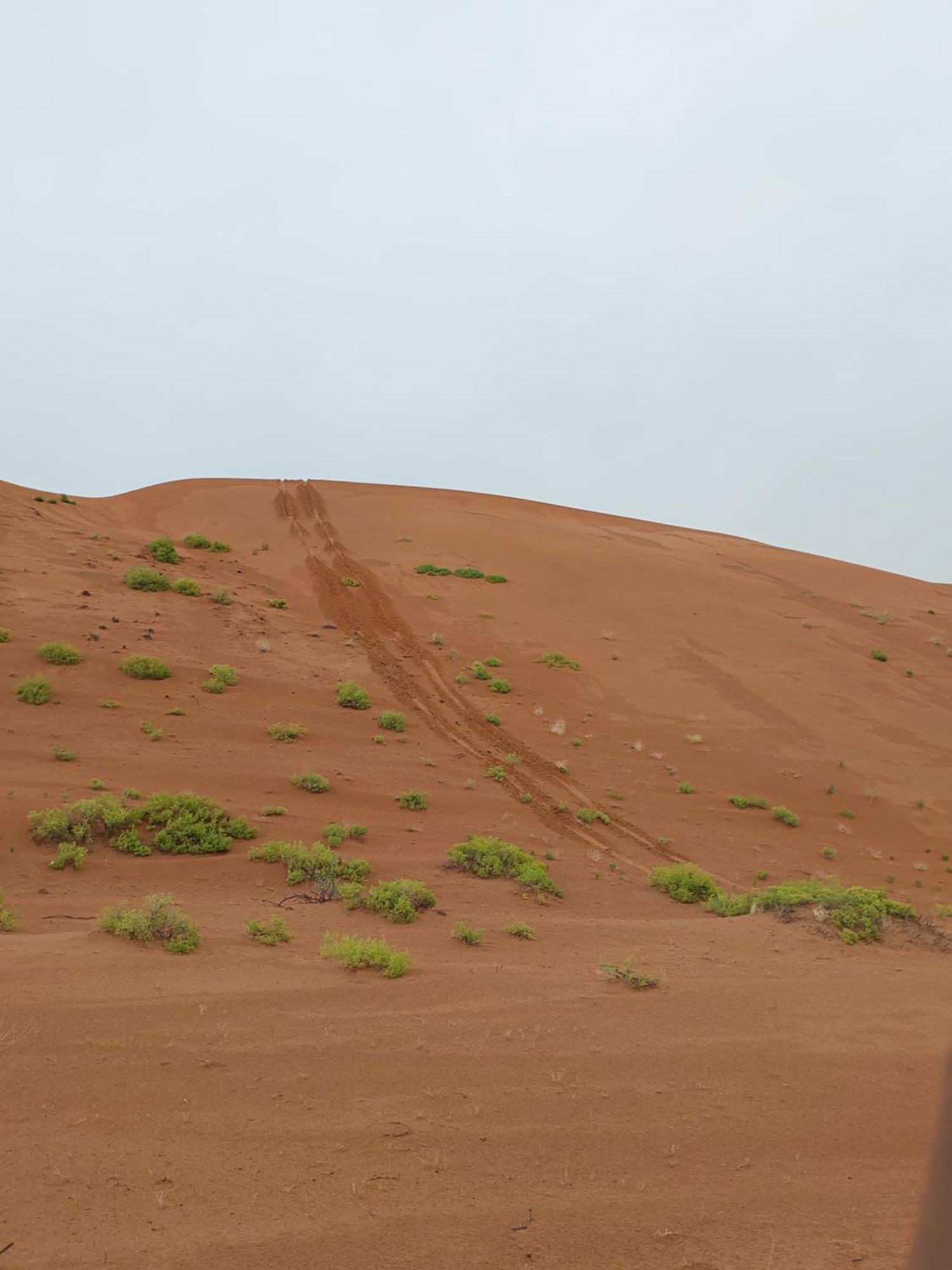 Sandglass Camp Badīyah المظهر الخارجي الصورة